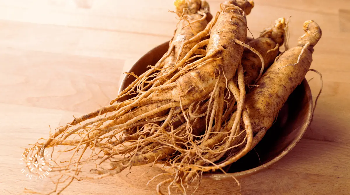 Ginseng Vermelho para aumentar a libido